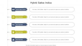 Hybrid Sativa Indica In Powerpoint And Google Slides Cpb