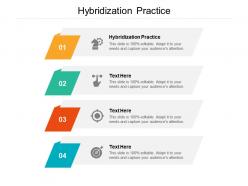 Hybridization practice ppt powerpoint presentation file designs download cpb