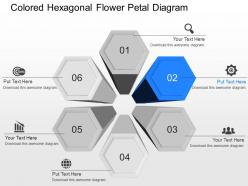 Ib colored hexagonal flower petal diagram powerpoint template