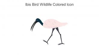 Ibis Bird Wildlife Colored Icon In Powerpoint Pptx Png And Editable Eps Format