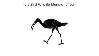 Ibis Bird Wildlife Monotone Icon In Powerpoint Pptx Png And Editable Eps Format