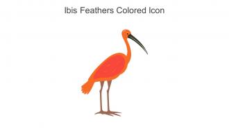 Ibis Feathers Colored Icon In Powerpoint Pptx Png And Editable Eps Format