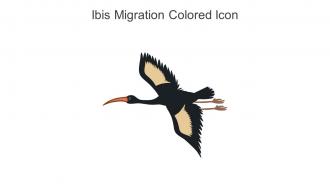 Ibis Migration Colored Icon In Powerpoint Pptx Png And Editable Eps Format