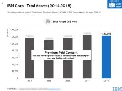 Ibm corp total assets 2014-2018