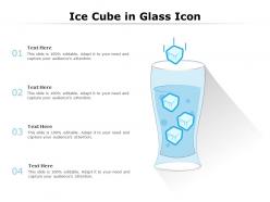 Ice Cube In Glass Icon