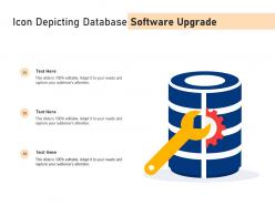 Icon depicting database software upgrade