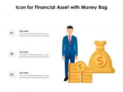 Icon for financial asset with money bag