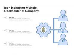 Icon indicating multiple stockholder of company
