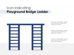 Icon indicating playground bridge ladder