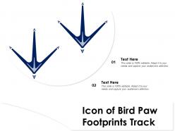 Icon of bird paw footprints track