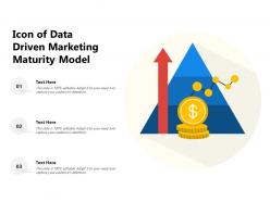 Icon of data driven marketing maturity model