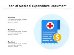 Icon of medical expenditure document
