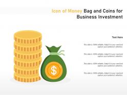Icon of money bag and coins for business investment