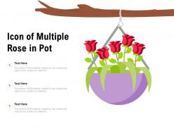Icon of multiple rose in pot