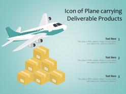 Icon of plane carrying deliverable products