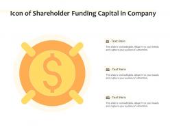 Icon of shareholder funding capital in company