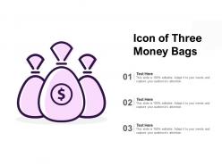 Icon Of Three Money Bags