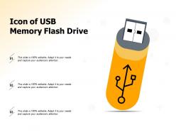 Icon of usb memory flash drive