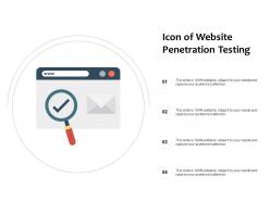Icon of website penetration testing