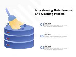 Icon showing data removal and cleaning process