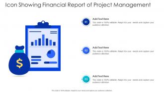 Icon showing financial report of project management