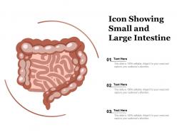 Icon showing small and large intestine