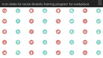 Icon Slides For Racial Diversity Training Program For Workplace DTE SS