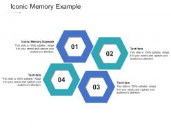 Iconic memory example ppt powerpoint presentation summary slide portrait cpb
