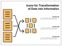 Icons for transformation of data into information