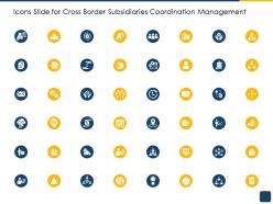 Icons slide for cross border subsidiaries coordination management ppt portrait
