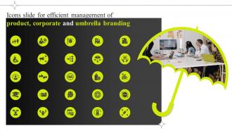 Icons Slide For Efficient Management Of Product Corporate And Umbrella Branding