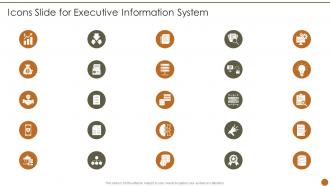 Icons Slide For Executive Information System