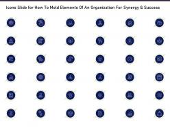 Icons slide for how to mold elements of an organization for synergy and success ppt brochure