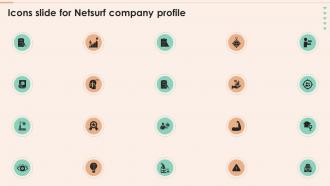 Icons Slide For Netsurf Company Profile Ppt Powerpoint Presentation Professional Example