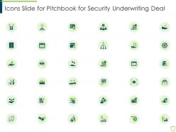 Icons slide for pitchbook for security underwriting deal ppt file background images