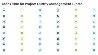 Icons slide for project quality management bundle