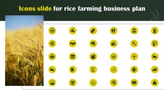 Icons Slide For Rice Farming Business Plan BP SS