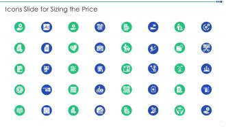Icons Slide For Sizing The Price Ppt Themes