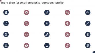 Icons Slide For Small Enterprise Company Profile