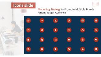 Icons Slide Marketing Strategy To Promote Multiple Brands Among Target Audience