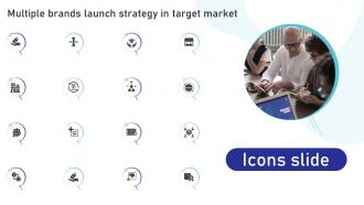 Icons Slide Multiple Brands Launch Strategy In Target Market