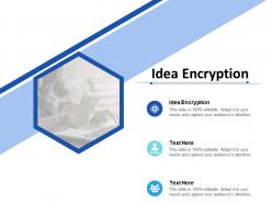 Idea encryption ppt powerpoint presentation icon templates cpb