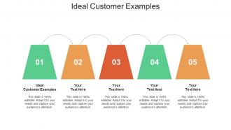 Ideal customer examples ppt powerpoint presentation ideas layout cpb