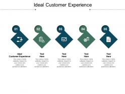 Ideal customer experience ppt powerpoint presentation summary show cpb