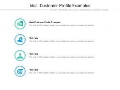 Ideal customer profile examples ppt powerpoint presentation infographics template cpb
