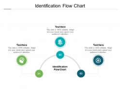 Identification flow chart ppt powerpoint presentation pictures professional cpb