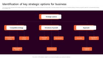 Identification Of Key Strategic Analysis To Understand Business Strategy SS V
