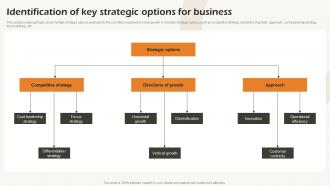 Identification Of Key Strategic Options For Business Business Strategic Analysis Strategy SS V