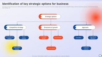 Identification Of Key Strategic Options For Business Minimizing Risk And Enhancing Performance Strategy SS V
