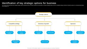 Identification Of Key Strategic Options Identifying Business Core Competencies Strategy SS V